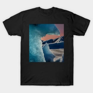 ICEBERG - IV T-Shirt